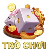 Cung cấp thông tin chi tiết cho m99 link